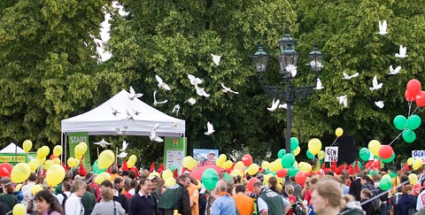 weiße Tauben - ein bewegender Moment für den Frieden ein bewegender Moment für den Frieden
